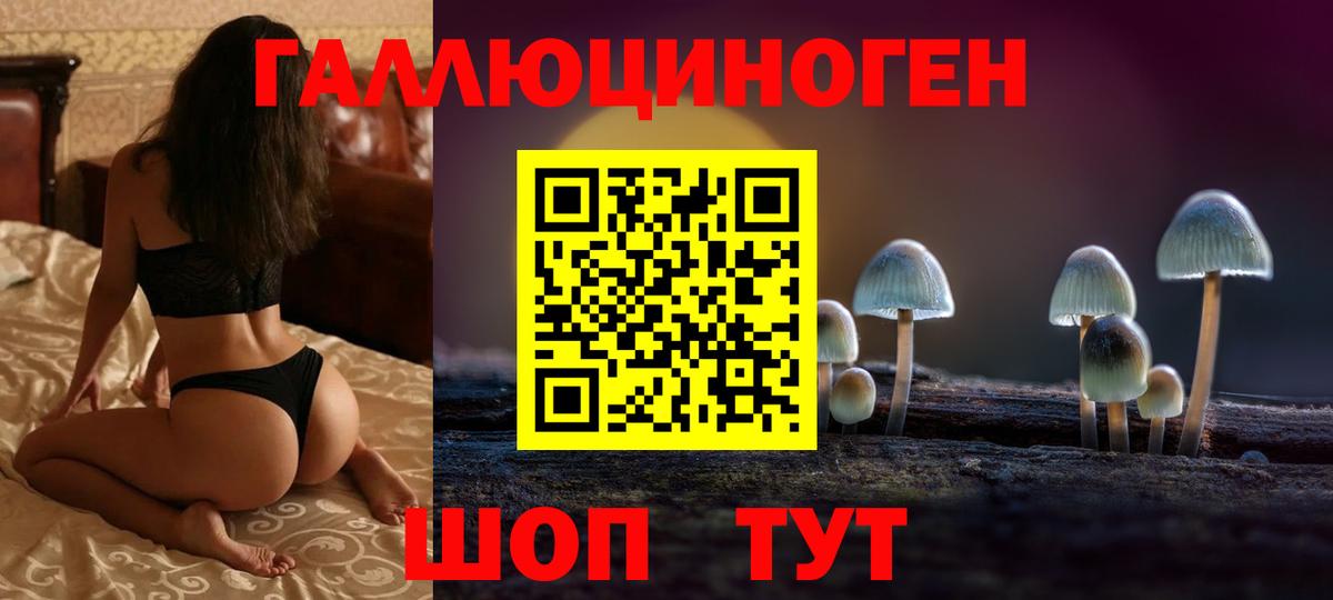 Галлюциногенные грибы Cubensis  Вход с VPN  Орск 
